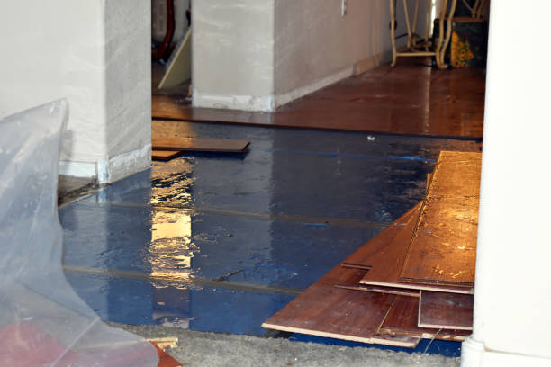 Professional Sewage Cleanup technician working in Romeo, MI